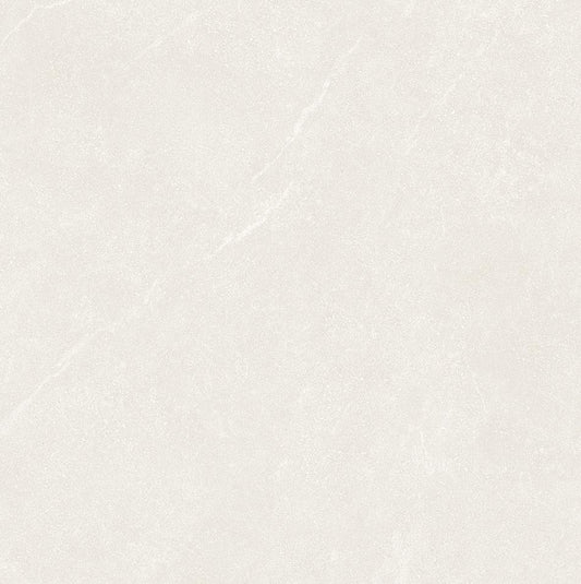 Matte Finish Tiles 600x600mm | 1.44 m² | 4pcs/Carton | RO60DP3 • RO60BP3