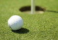 Load image into Gallery viewer, GOLF PUTTING GREEN
