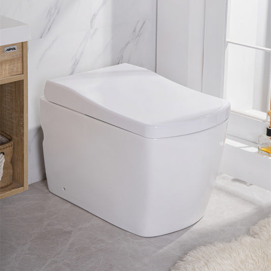 Australian Watermark Intelligent Toilet Seat S300